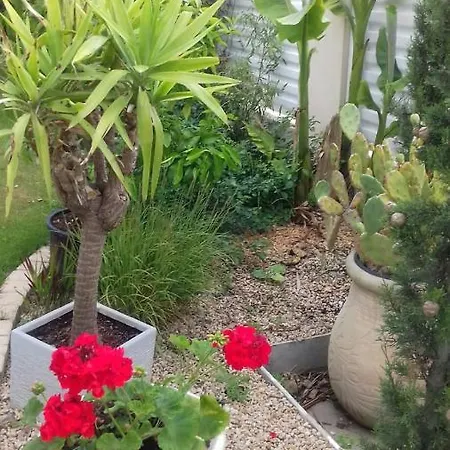 D'hotes La Rose Des Sables *