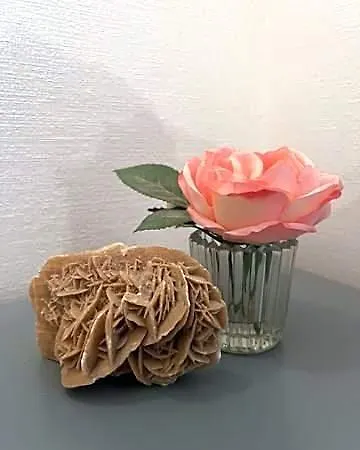 D'hotes La Rose Des Sables 3*