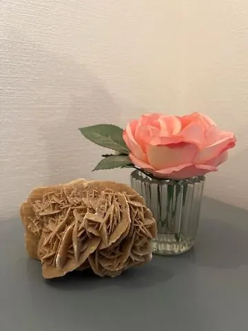 D'hôtes La Rose Des Sables Couette-café